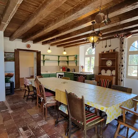 Domaine De Rochebonne *
