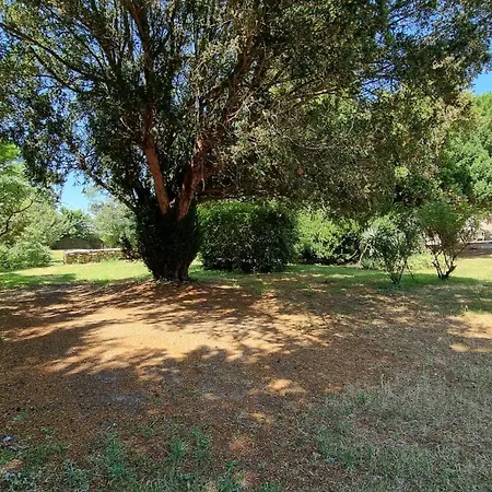 Domaine De Rochebonne