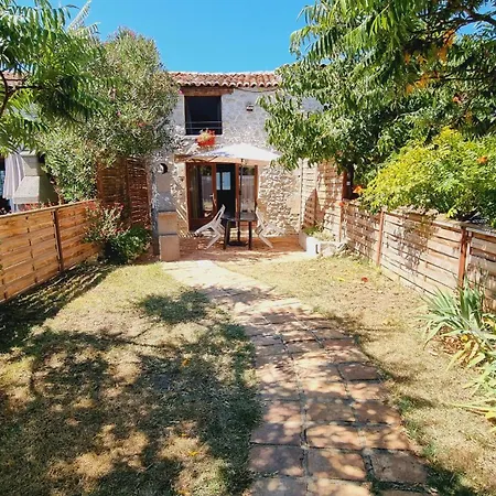 Vakantiehuis Domaine De Rochebonne Saint-Just-Luzac